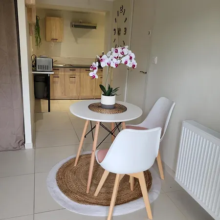 Appartement Studio Corbas