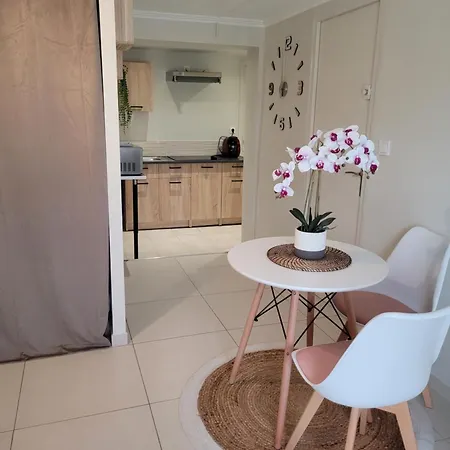 Studio Corbas Appartement